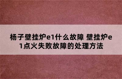 杨子壁挂炉e1什么故障 壁挂炉e1点火失败故障的处理方法